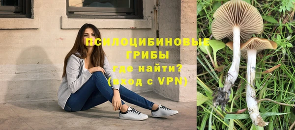 кристаллы Няндома