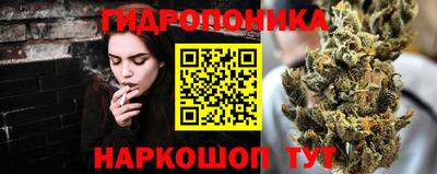 крисы Донской
