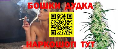 крисы Донской