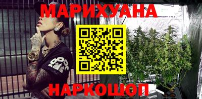 крисы Донской