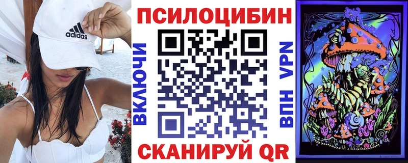 Псилоцибиновые грибы Psilocybe  Ивантеевка 