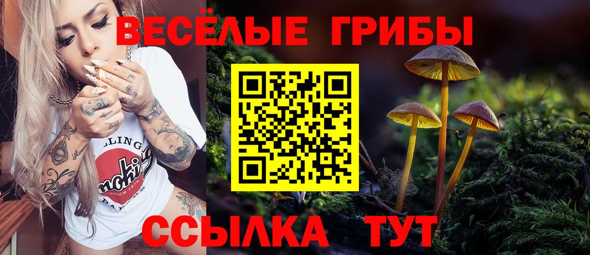 Галлюциногенные грибы GOLDEN TEACHER  где найти   Галлюциногенные грибы GOLDEN TEACHER  Ивантеевка 