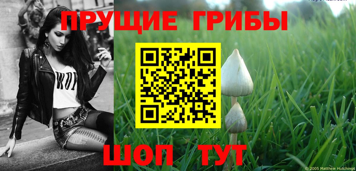 Галлюциногенные грибы MAGIC MUSHROOMS  Псилоцибиновые грибы мицелий  Ивантеевка  Вход с VPN 