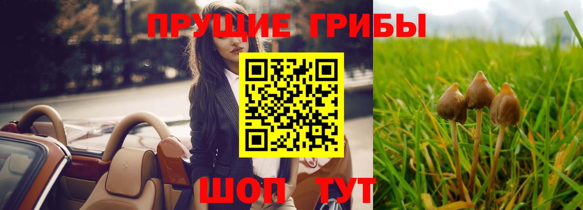 Псилоцибиновые грибы MAGIC MUSHROOMS Ивантеевка